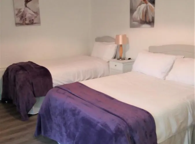 Lettermore Apartment 2